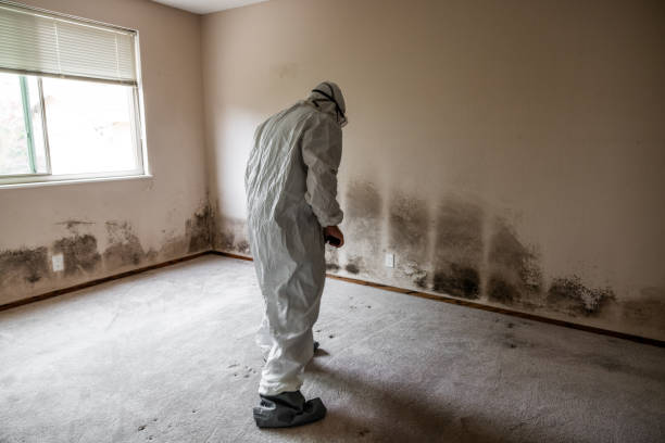 Warm Beach, WA Mold Remediation Company